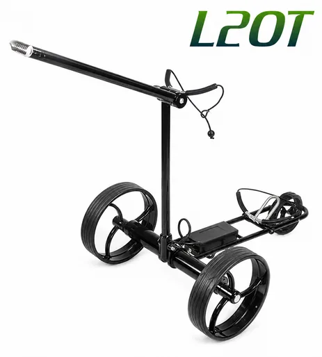 R99 L20T