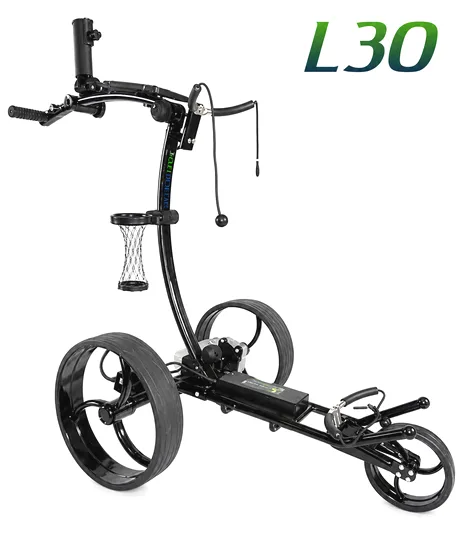 R99 L30 Litio