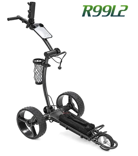 R99 L2 Litio