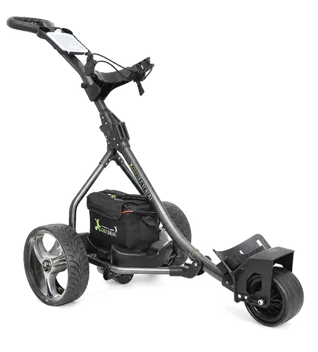 Carro de golf eléctrico R99D sin textos promocionales