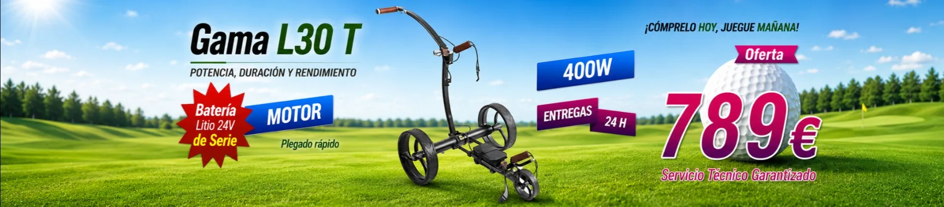 Oferta del carro de golf eléctrico R99 L30T